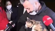 گربه لرزان نجات یافته، جهانی شد! + فیلم