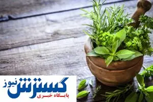 ضرورت تسریع در اجرای سند ملی گیاهان دارویی و طب‌ سنتی