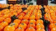 زیرساخت صادرات میوه به روسیه فراهم نیست