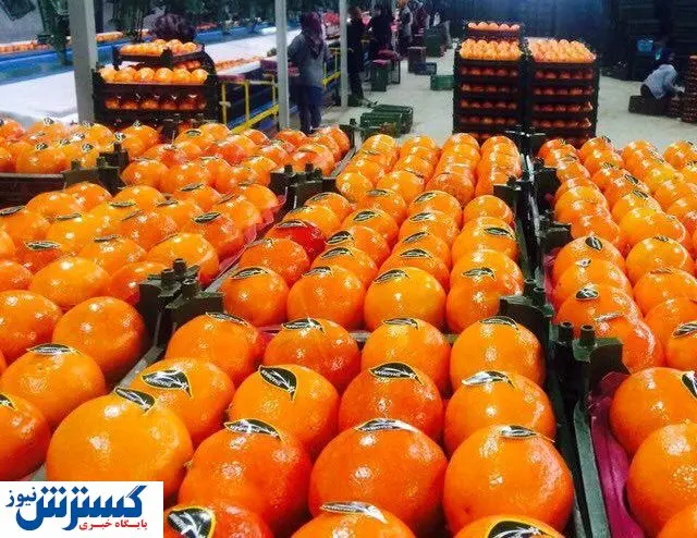 زیرساخت صادرات میوه به روسیه فراهم نیست