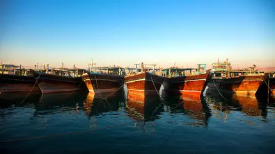 دروازه ثروت در جنوب ایران گشوده شد