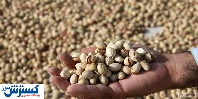 اتفاق بی سابقه برای پسته ایران