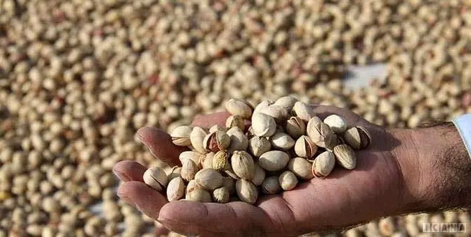 پسته در بازار کیلویی چند؟