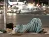 کشت خشخاش در ایران دوباره بر سر زبان ها افتاد