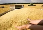 قیمت خرید تضمینی گندم در این تاریخ اعلام می شود