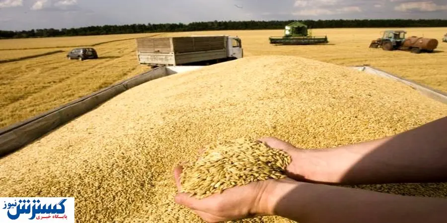 یک واریزی مهم برای این افراد