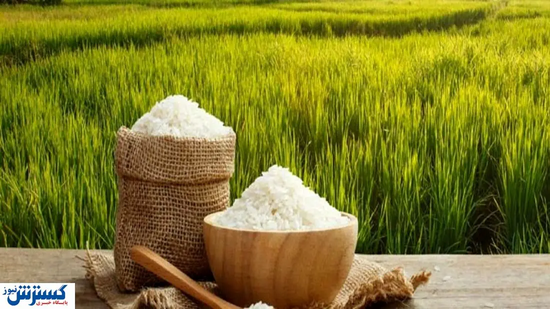 برنج آمریکایی در راه عراق