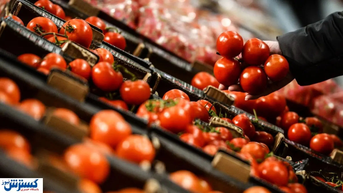قیمت رسمی گوجه در بازار اعلام شد (5 آذر)