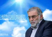 دیدار شهید فخری‌زاده با مقام های آژانس بین‌المللی انرژی اتمی با تکذیب شد