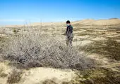 دو راهکار برای نجات ایران از خشکسالی