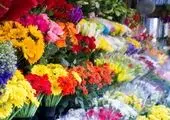 تصاویر/ صدای بهار در بازار گل و گیاه محلاتی