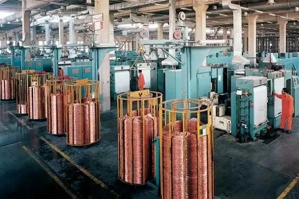 محصولات شرکت شهید قندی به قاره آمریکا رسید / اوجگیری فروش «بکام» در اوج تحریمها