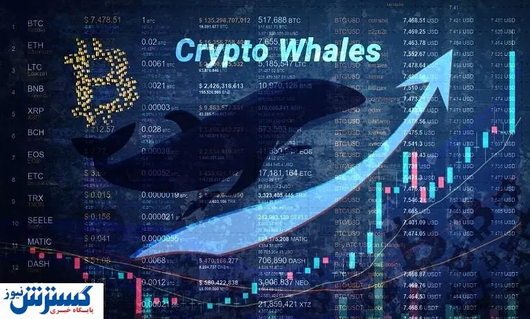 تیر جدید کمیسیون SEC به قلب ریپل / افزایش قیمت منتفی است