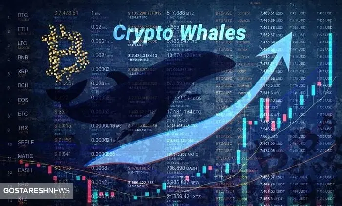 بازار ارزهای دیجیتال در روزهای پایانی سال / علاقه شدید نهنگ ها به این رمز ارزها 