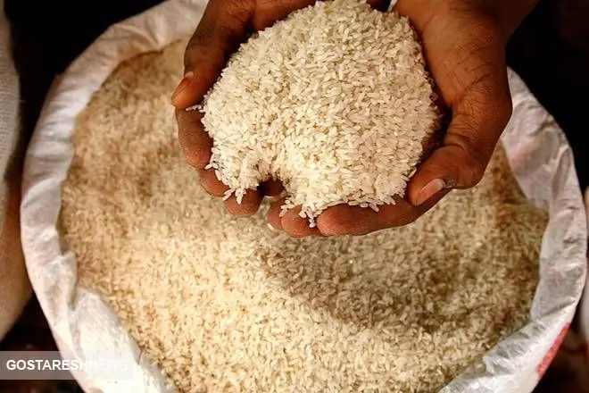 قیمت برنج در بازار + جدول