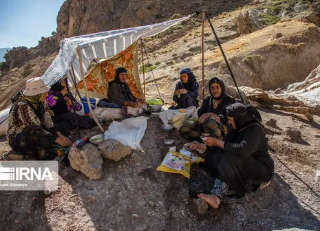 تصاویر / نمدبافی در چناران