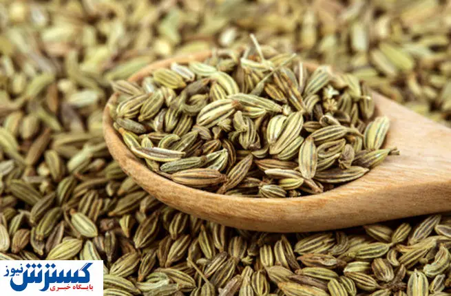 زیره؛ بهترین گزینه برای تقویت سیستم ایمنی بدن!