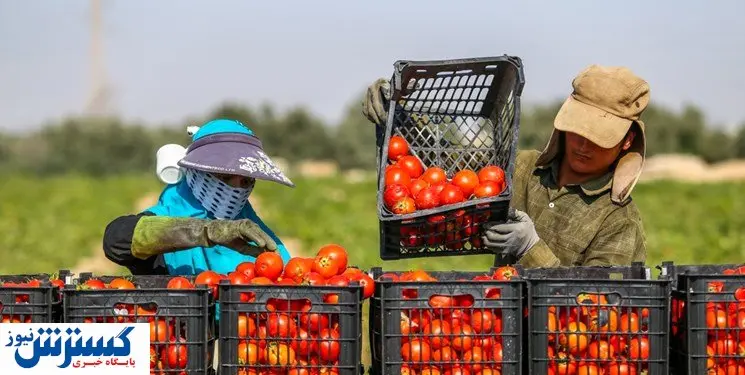 تجارت محصولات کشاورزی؛ نیازمند تنوعبخشی به بازارهای هدف