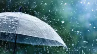 خرید چتر زمستانی چقدر هزینه دارد؟ / ۲۱ میلیون ناقابل برای روزهای بارانی! 