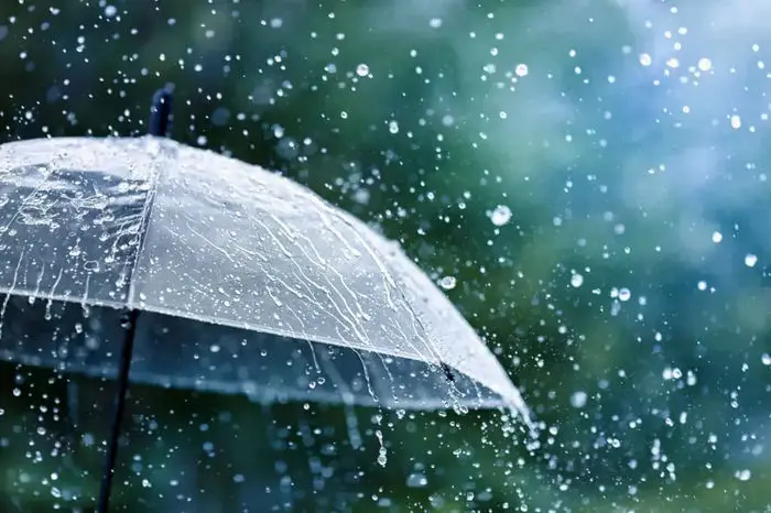 خرید چتر زمستانی چقدر هزینه دارد؟ / ۲۱ میلیون ناقابل برای روزهای بارانی! 