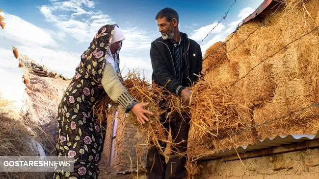 انتظار به پایان رسید | جیب کشاورزان پر پول می‌شود!