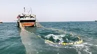 نابودی ذخایر دریایی با صید ترال
