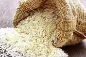 انفجار قیمت برنج ایرانی در راه است؟ / هشدار جدی درباره کاهش ذخایر
