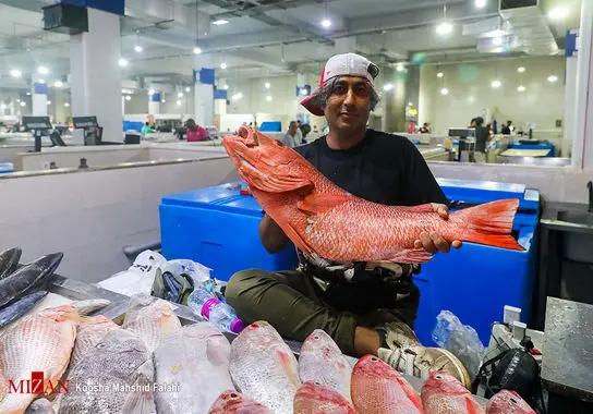 بازار-ماهی-بندرعباس (20)
