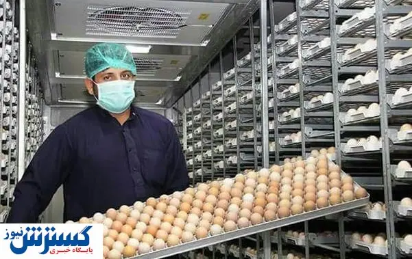 چرا تولید ماشین جوجهکشی نمیصرفد؟