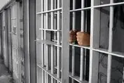 اعتراض وکلای بازیگر سرشناس به قرار بازداشت موقت 