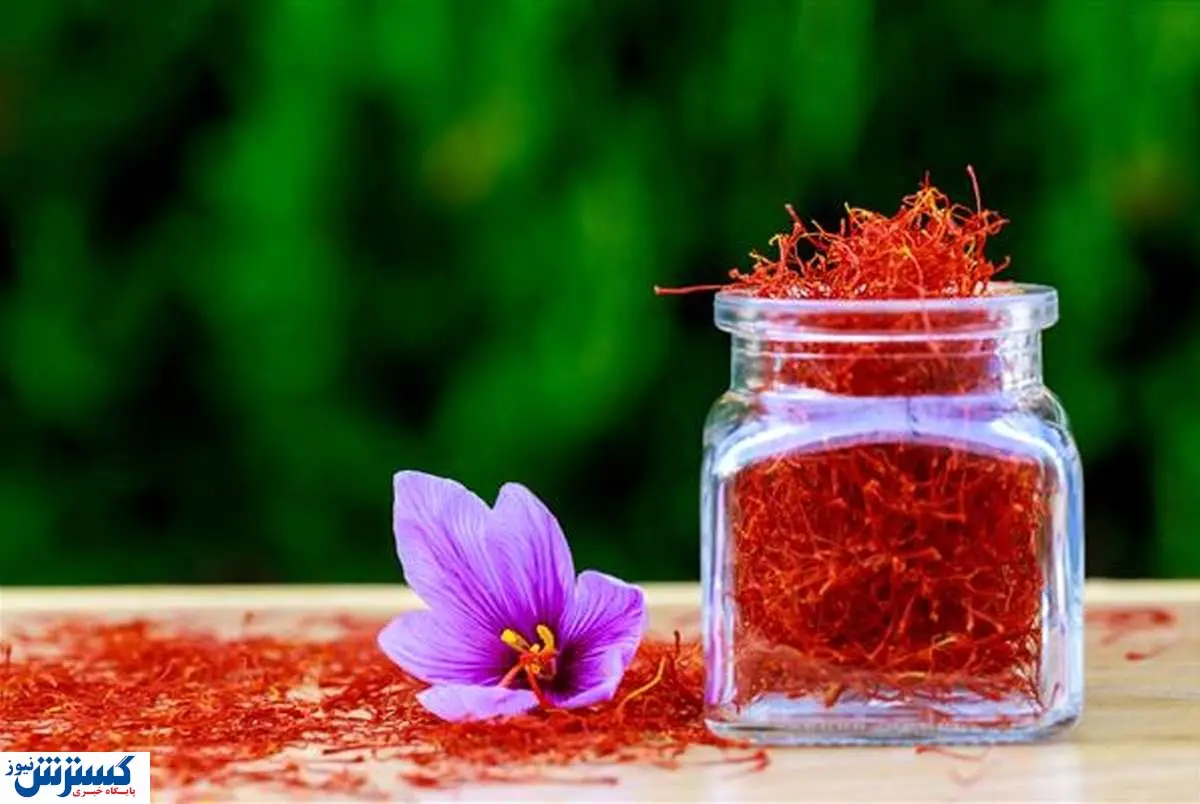 قیمت زعفران امروز ۳ مهر ۱۴۰۳ | قاچاق طلای سرخ در چه حال است؟