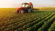طرحی مهم برای کمک به صادارت محصولات کشاورزی 