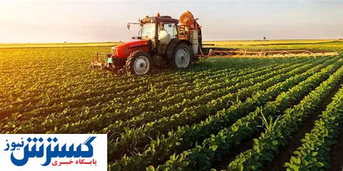 طرحی مهم برای کمک به صادارت محصولات کشاورزی