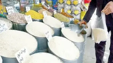 فنر قیمت برنج و حبوبات در رفت | نرخ واقعی اعلام شد