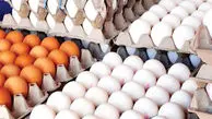 صادرات تخم مرغ در ابهام