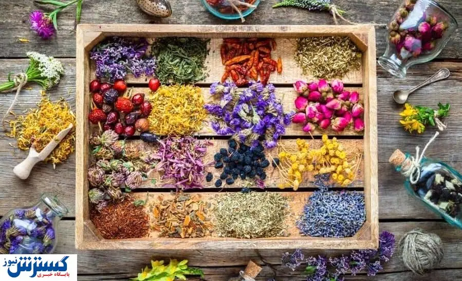 داروی گیاهی در درمان کرونا موثر است؟