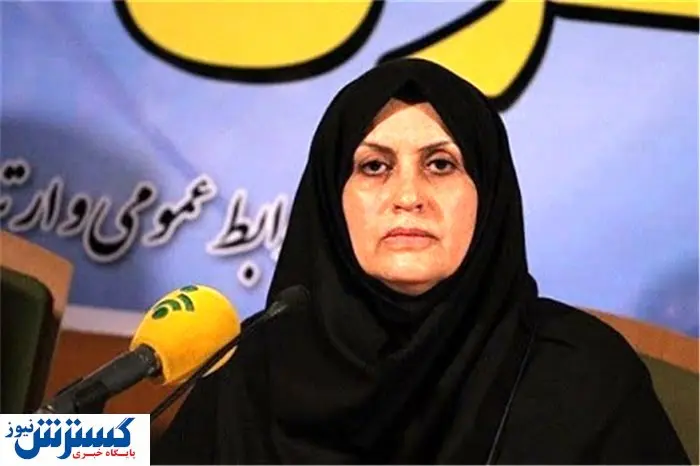 درخواست رییس سازمان استاندارد از خودروسازان