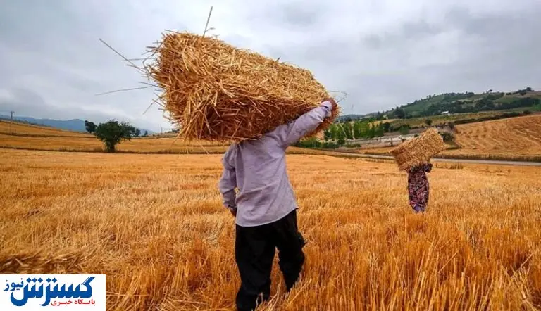 راه حل اجباری کشاورزان برای گرانی کود
