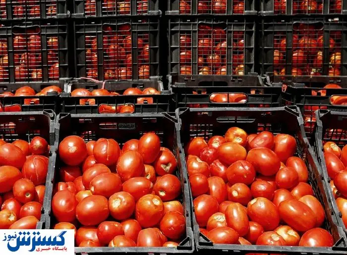 قیمت رسمی گوجه و سیب زمینی اعلام شد (1 تیر)