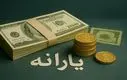 دولت یارانه دو دهک دیگر را هم حذف می‌ کند؛ نحوه اعتراض را بدانید + جزئیات