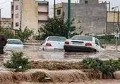  ۳۰۵ هکتار زمین در بستر رودخانه‌های استان تهران رفع تصرف شد