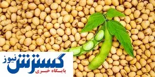 تجارت چرب چینی ها!