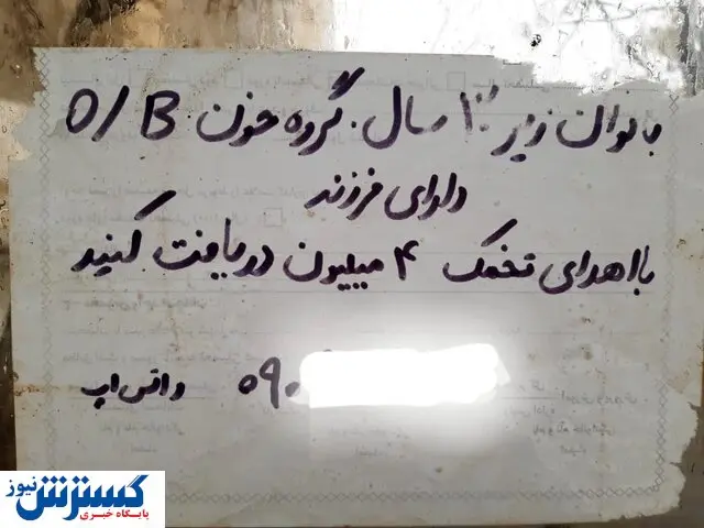 تعرفه های عجیب اهدای تخمک و جنین در ایران + جدول