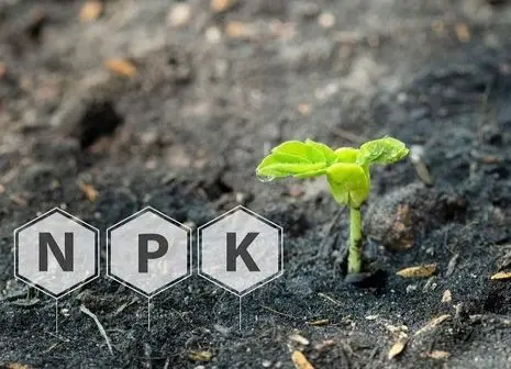 کود آهن، کود آمینواسید و کود سه بیست 20 20 20