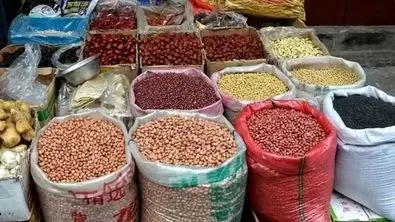 حبوبات به سفره کاگران بازگشت ؛ ارزانی در راه است ؟