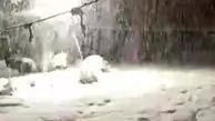 بارش سنگین برف در آذربایجان غربی + فیلم