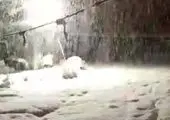 فیلمی از بارش برف در جاده چالوس