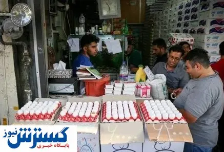 اقدامی برای ایجاد آشفتگی در بازار تخم مرغ
