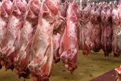 فوری/ قیمت جدید گوشت اعلام شد (۲۶ اردیبهشت)