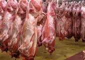 فوری / قیمت گوشت گوسفندی اعلام شد (۲۸ فروردین)